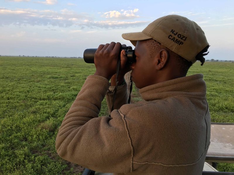David, the camp's wildlife biologist, scanning the plains through binoculars