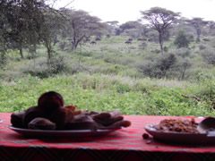 Plates of food on a red tablecloth at an open-sided table looking out over green bush and trees