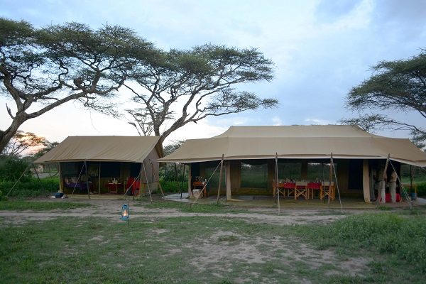 The lounge and dining tents beneath acacia trees, with camp chairs set out on the grass in front