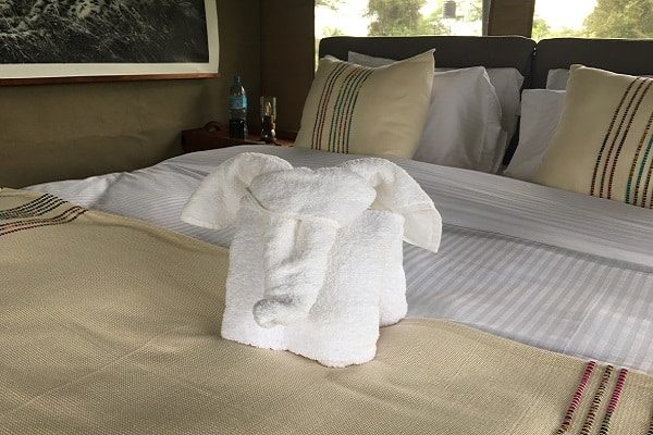 Towels folded into elephants on a made-up bed