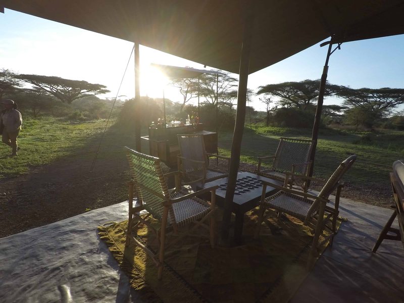 The shaded mess tent veranda, chairs looking out to acacia trees
