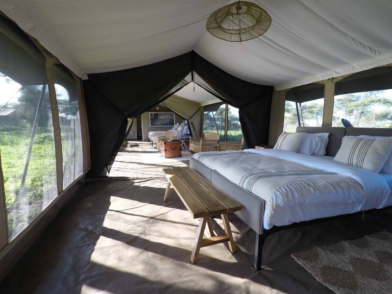 Family tent bedroom with a double bed and bench, the canvas windows open to the bush