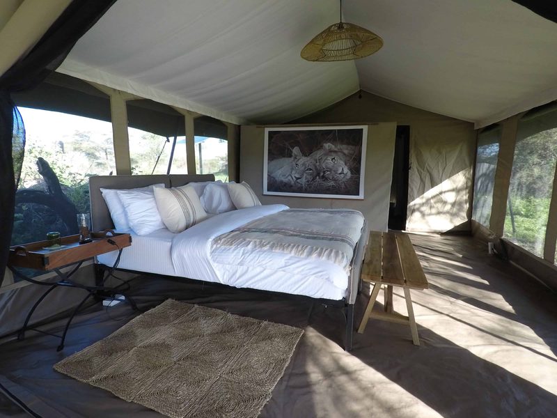 Family tent bedroom with a double bed, a framed wildlife print and a woven rug