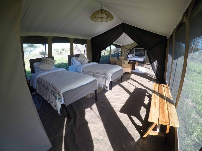 Family tent with twin beds in one room and a second bedroom beyond