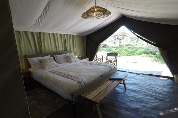 Double bed and bench in a guest tent, the door open to the bush