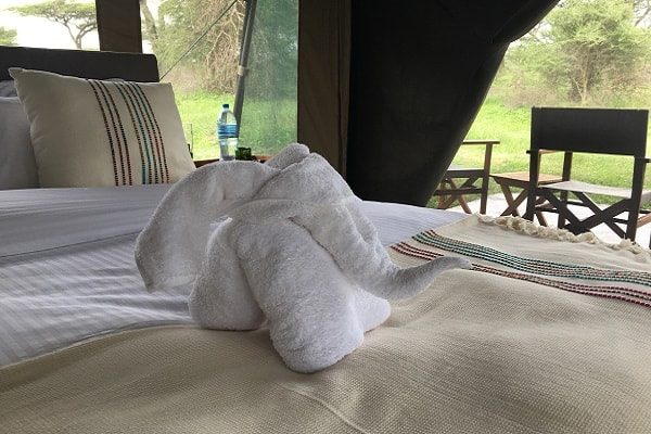 A towel folded into the shape of an elephant on a guest bed