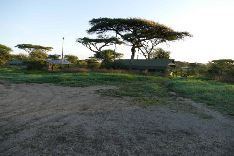 Open ground at camp with tents and acacia trees beyond
