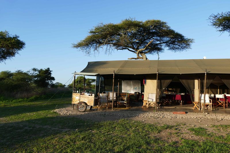 The mess tent with the bar cart in front and an acacia tree behind