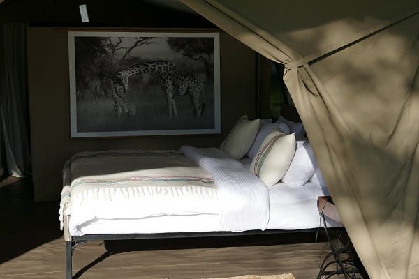 Bed in a guest tent beside the open canvas door, a framed zebra print on the wall