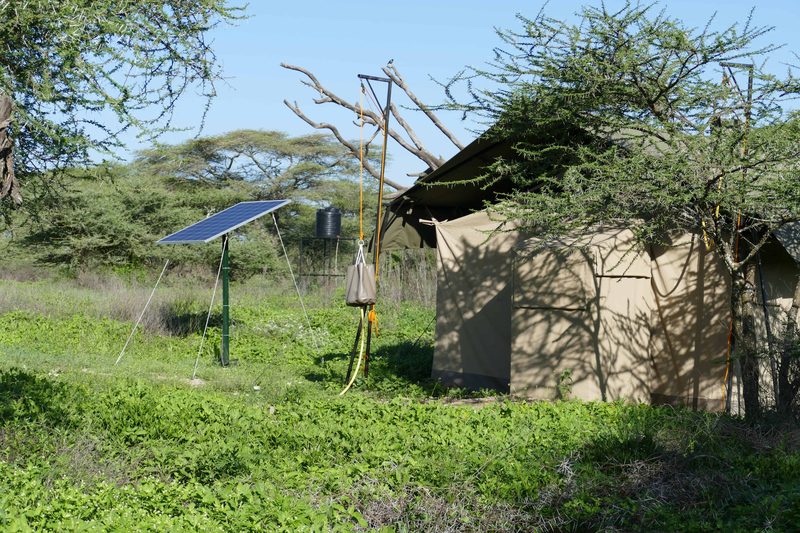 Side of a guest tent with a solar panel beside it among acacia trees