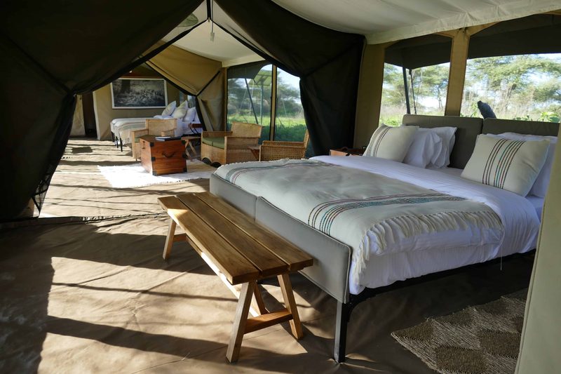 Family tent bedroom with a double bed and wooden bench in morning light