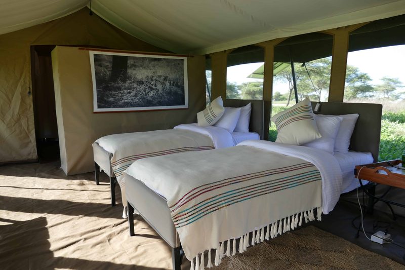 Twin beds with striped throws in a family tent bedroom