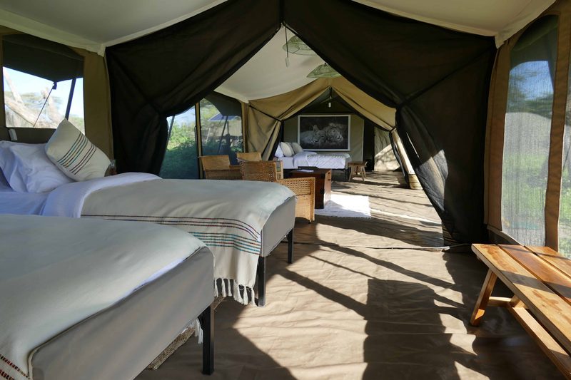 Twin beds in a family tent, the connecting living room beyond