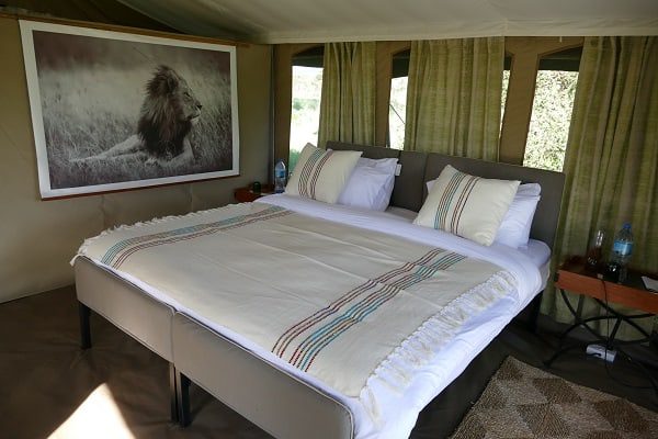 Double bed with a striped throw in a guest tent, a framed lion print and bedside lamp beside it