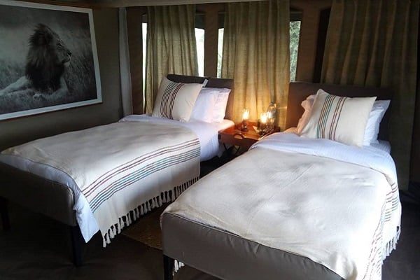 Twin beds made up in white linen in a guest tent, a framed lion print on the canvas wall